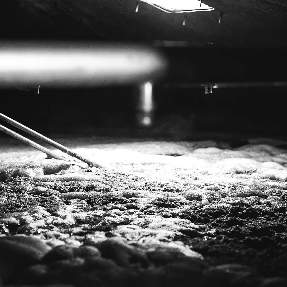 Fermentation Foam Close Up Nineteen Sixty Auchentoshan