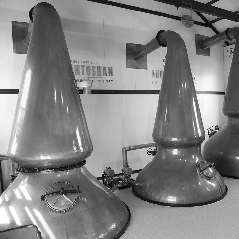 Copper Pot Stills Distillery Interior Production Equipment Auchentoshan